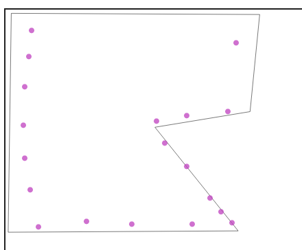 svg with the vertices on it